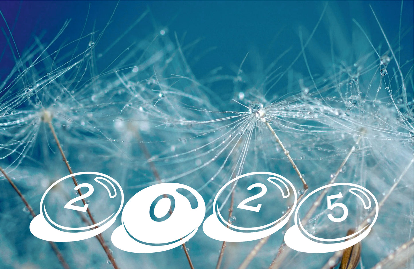 Natur Tischkalender