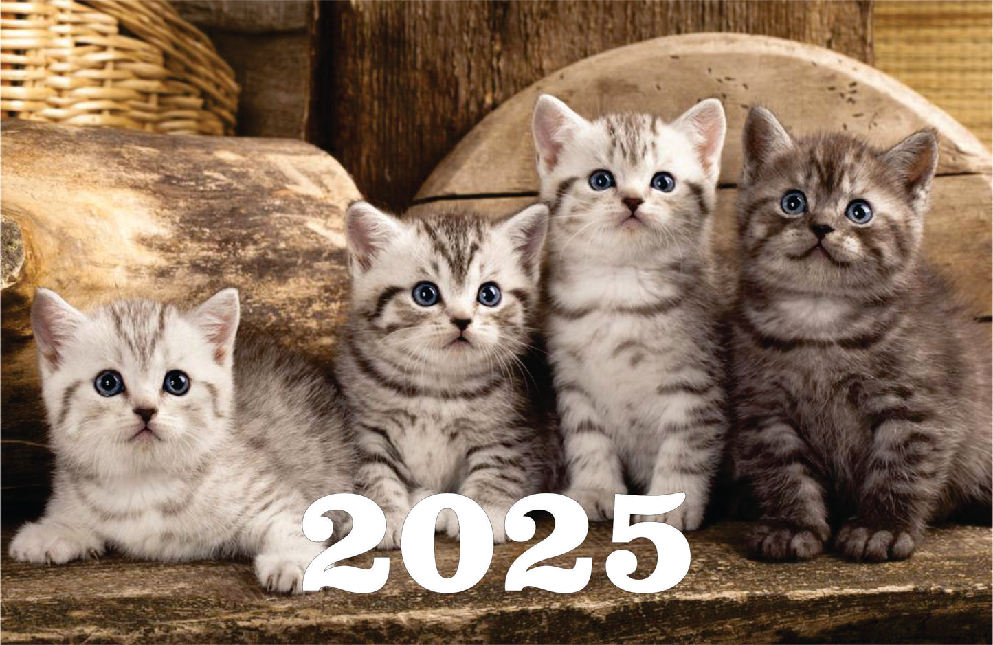 Katzenkalender Tischkalender 2025