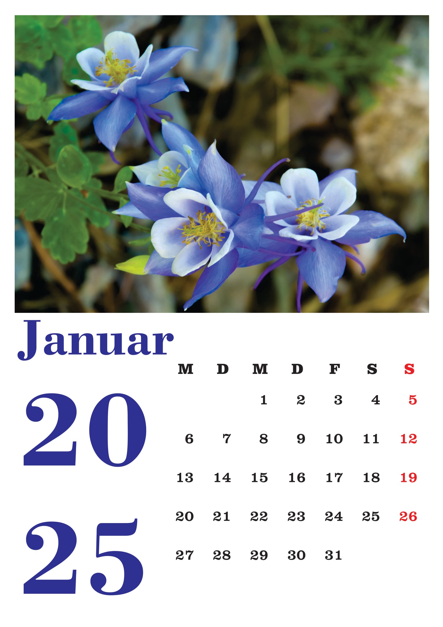 Blumen Wandkalender