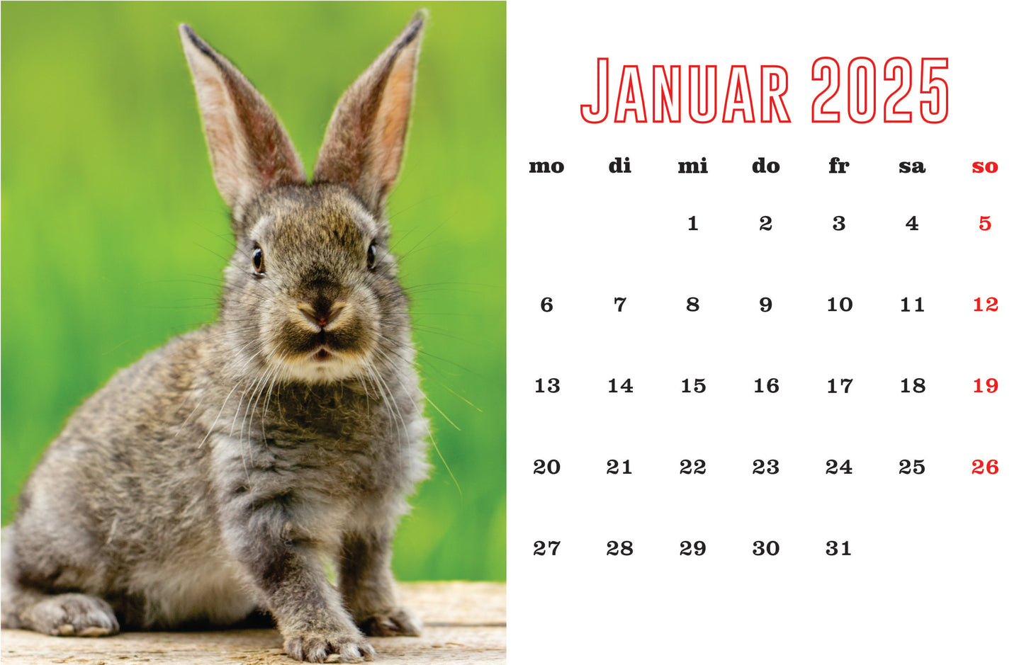 Kaninchen Tischkalender