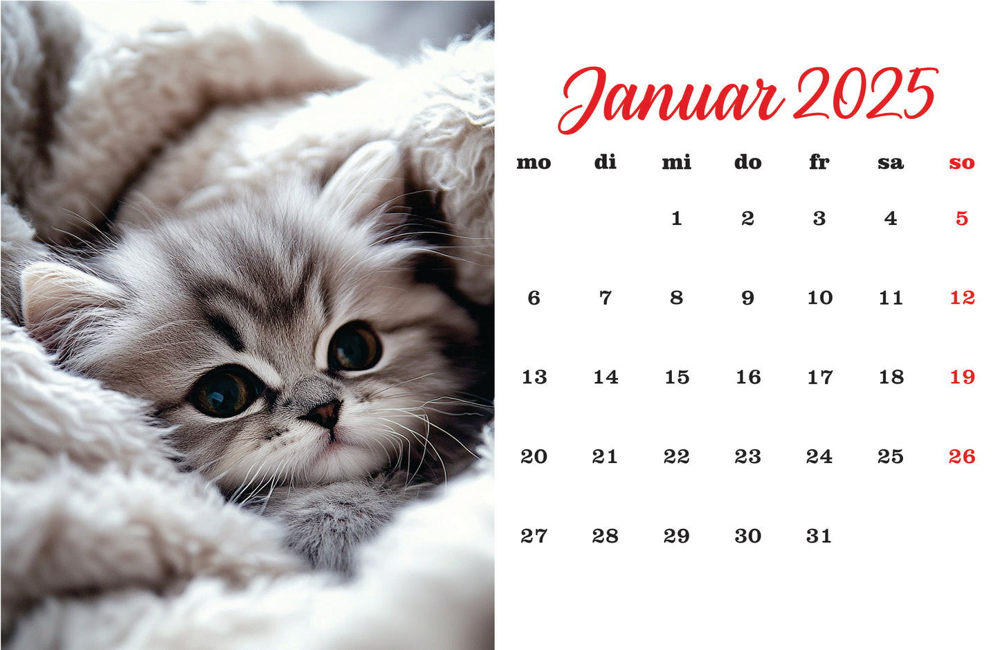 Katzenkalender Tischkalender 2025