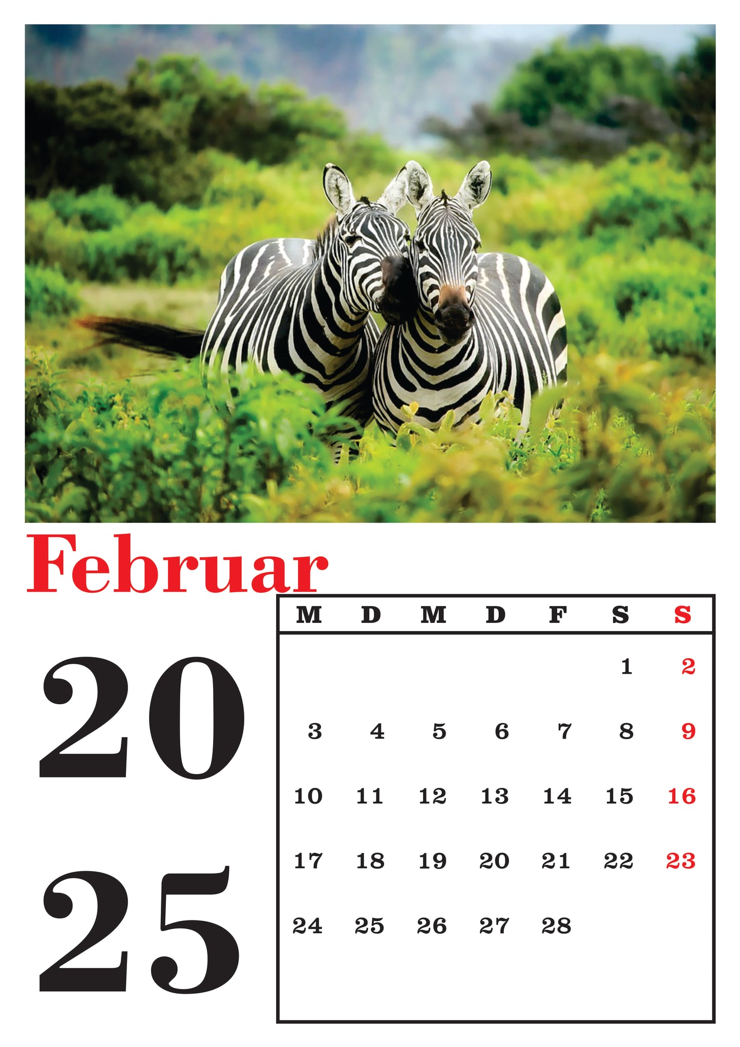 Tiere Wandkalender 2025