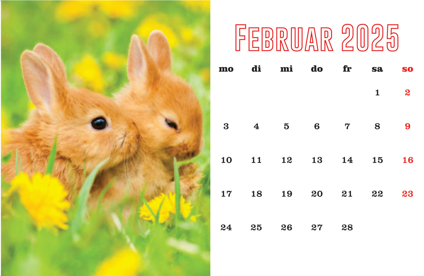 Kaninchen Tischkalender