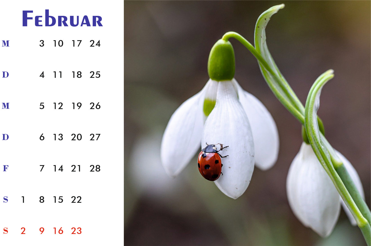 Natur Tischkalender