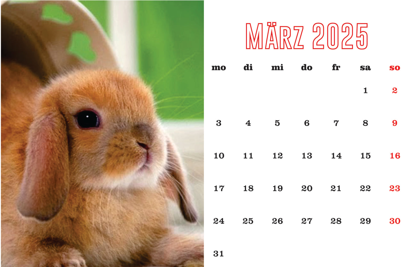 Kaninchen Tischkalender