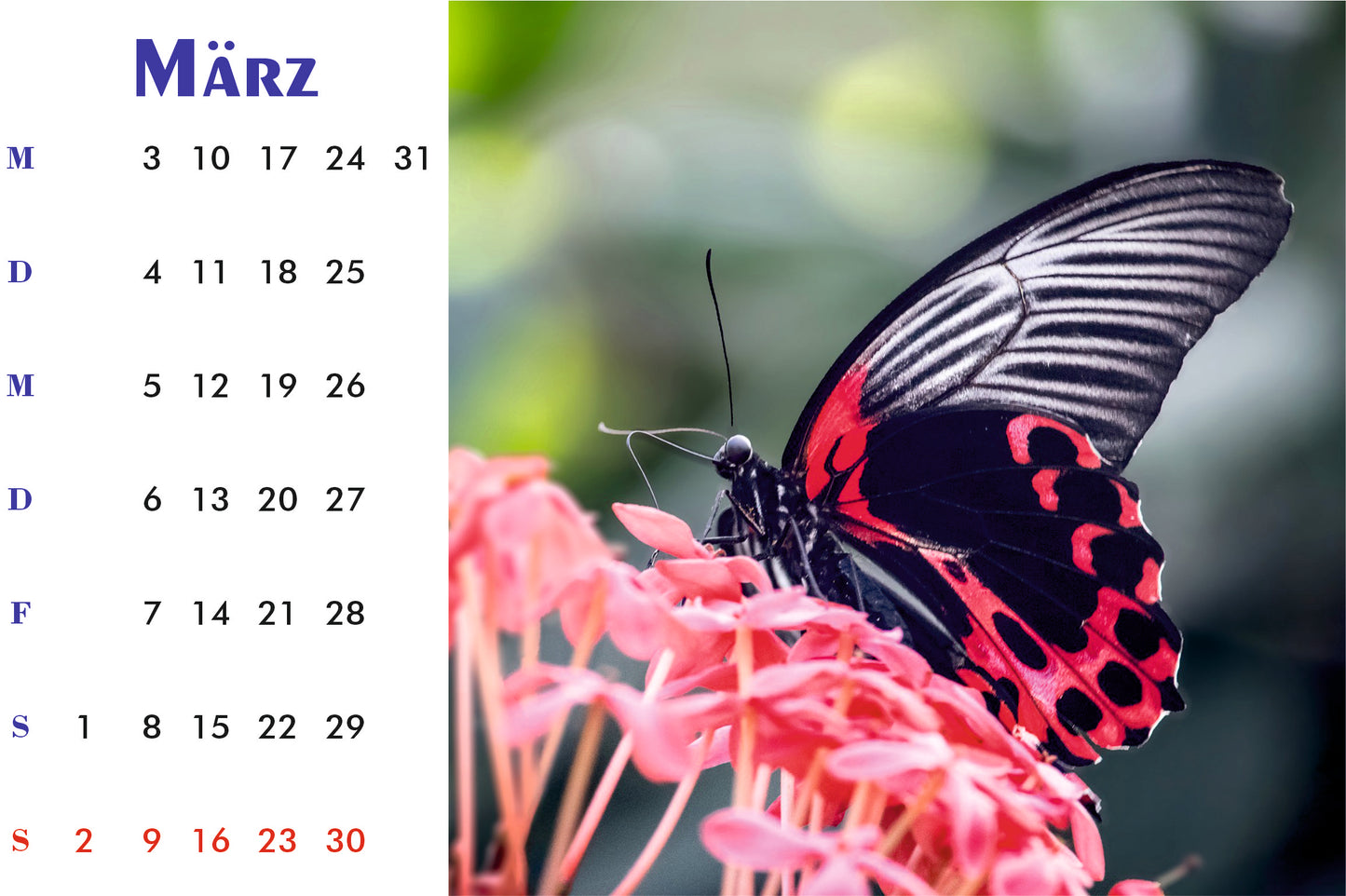 Natur Tischkalender