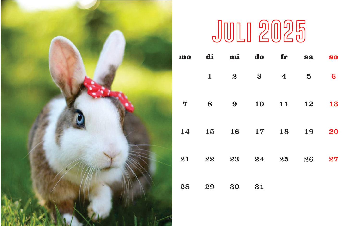 Kaninchen Tischkalender