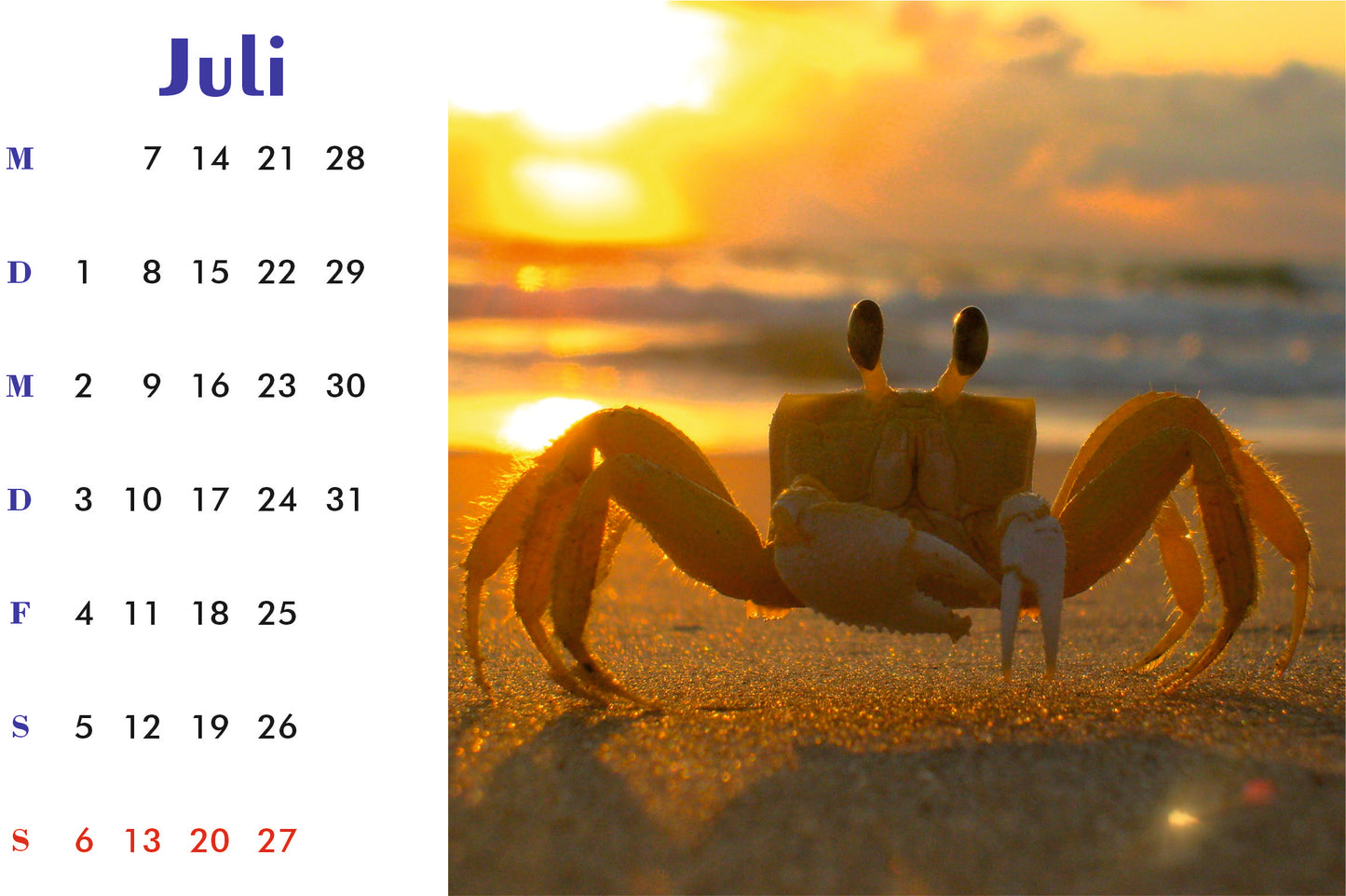 Natur Tischkalender