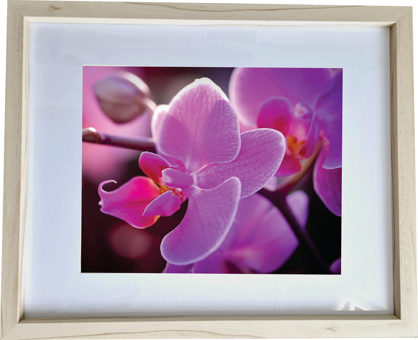 3er Set Wandbilder- Orchidee