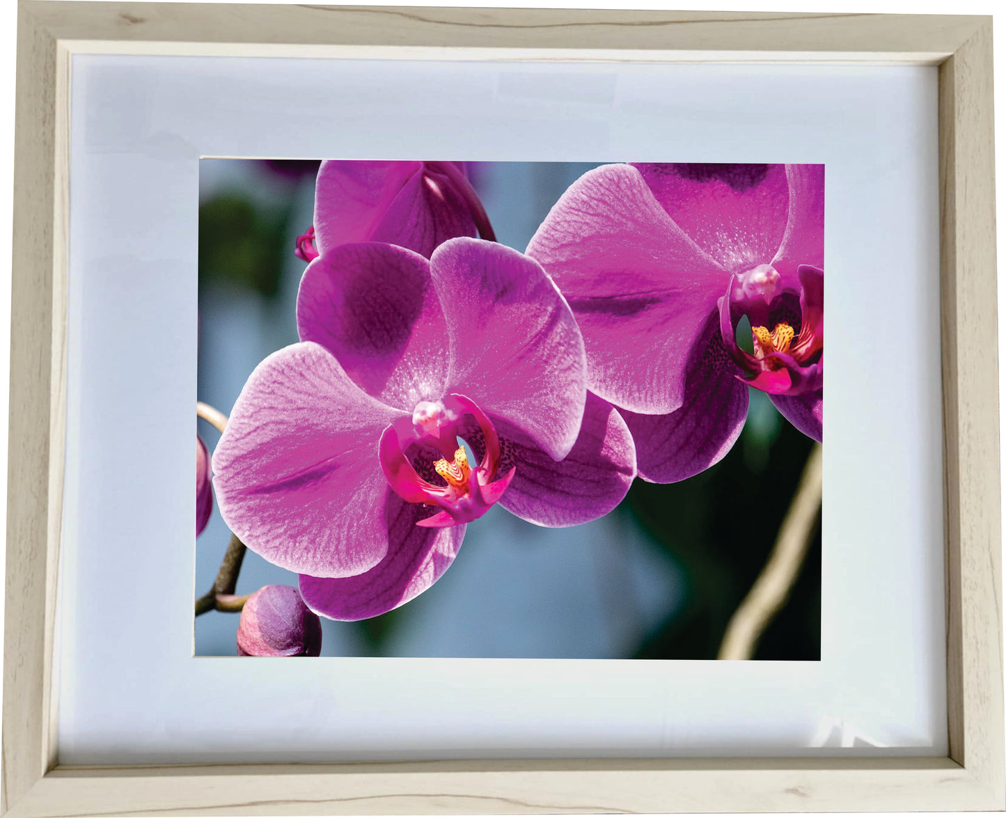 3er Set Wandbilder- Orchidee