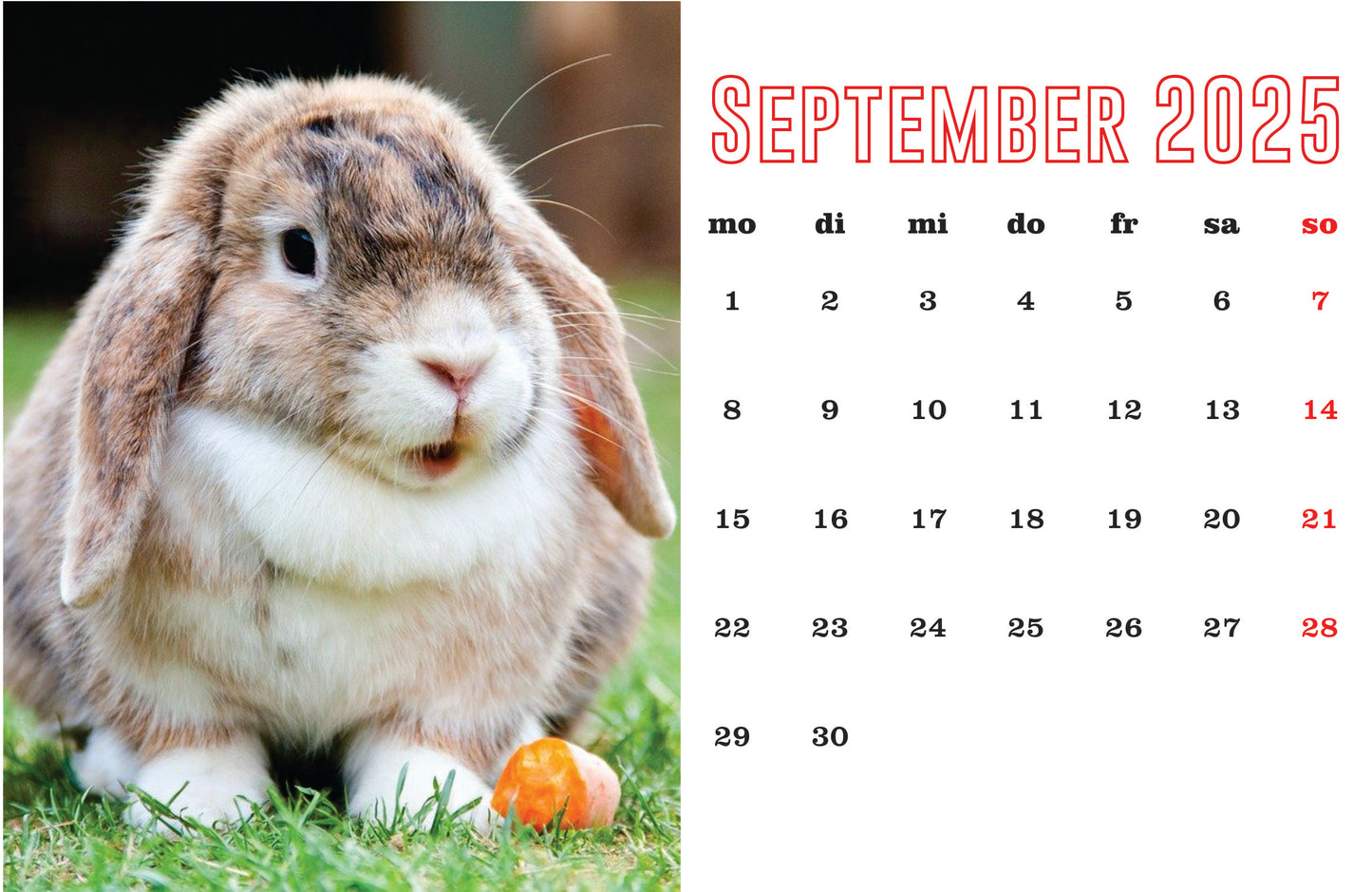 Kaninchen Tischkalender