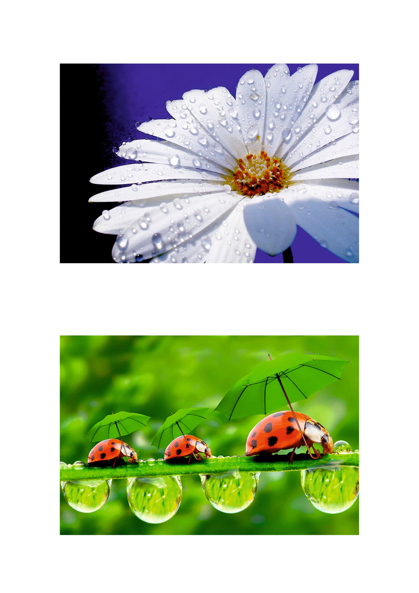 Personalisierte Fotomagnete Set aus 2stk - 15x 10 cm