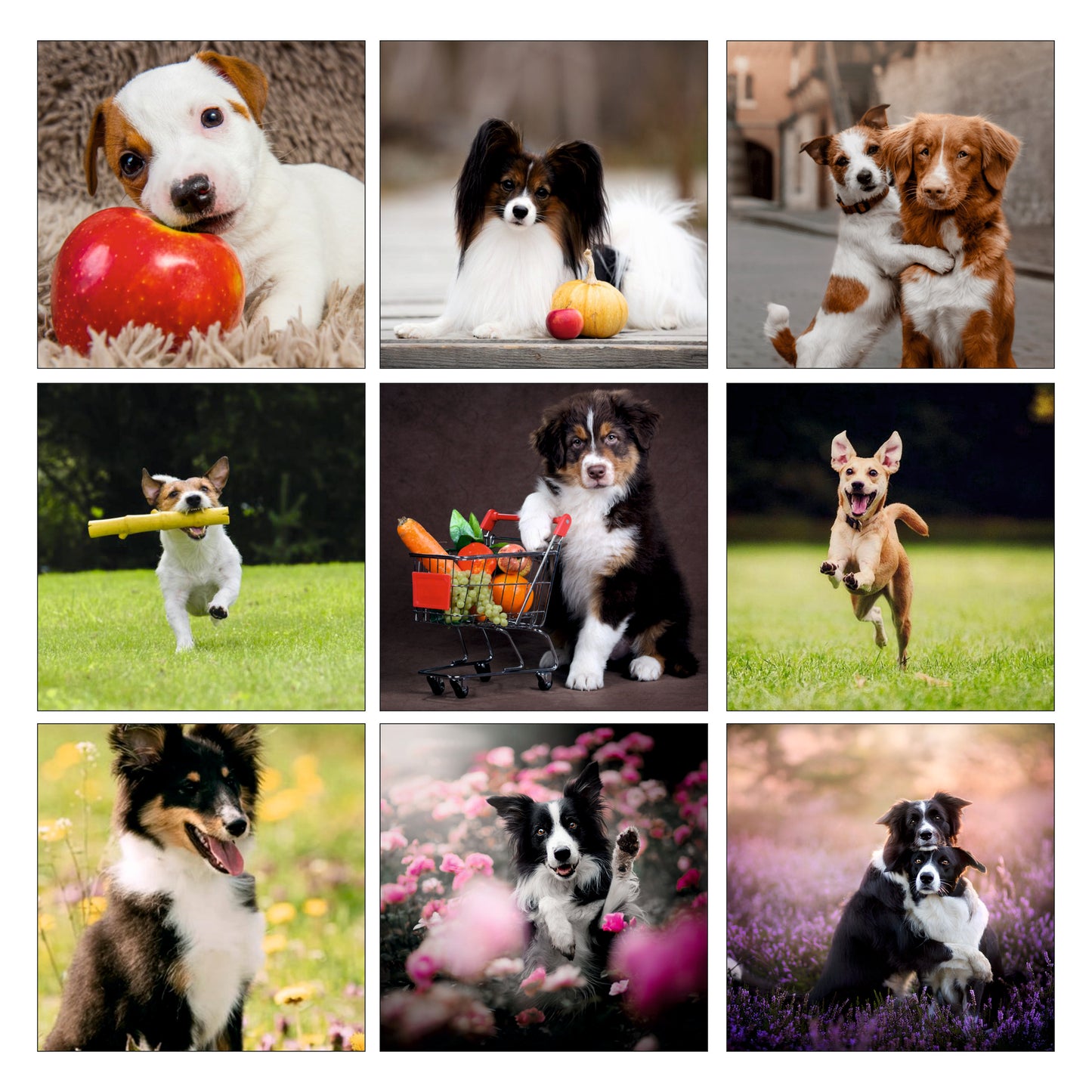 Personalisierte Fotomagnete Set aus 9 stk - 7,5x7,5 cm