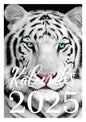 Weißer Tiger Wandkalender