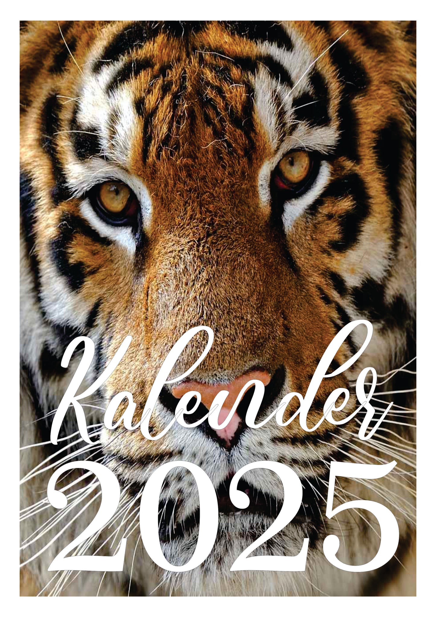 Tiger Wandkalender 2025