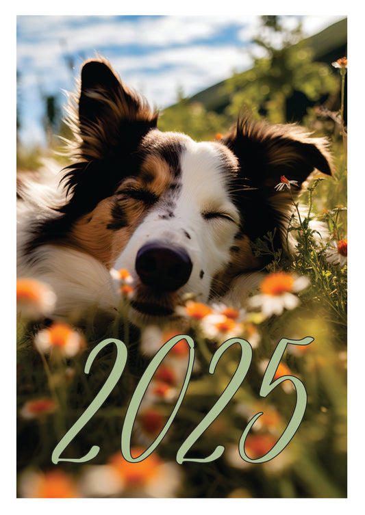 Hund Wandkalender 2025