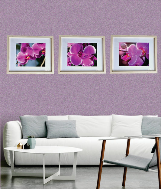 3er Set Wandbilder- Orchidee