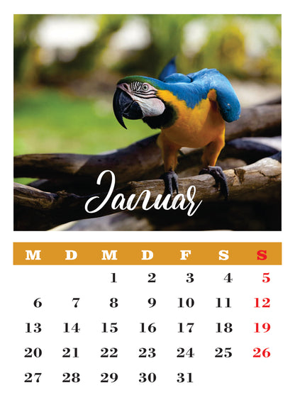 Vögel Wandkalender