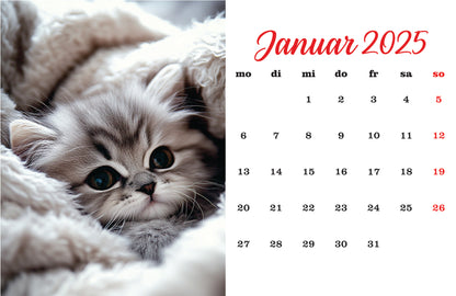 Katzenkalender Tischkalender 2025