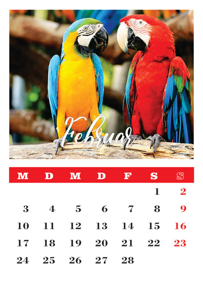 Vögel Wandkalender
