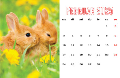 Kaninchen Tischkalender