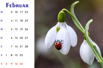 Natur Tischkalender