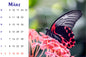 Natur Tischkalender
