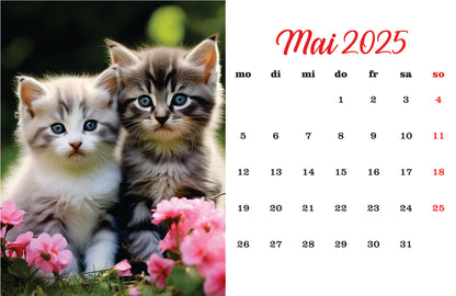Katzenkalender Tischkalender 2025