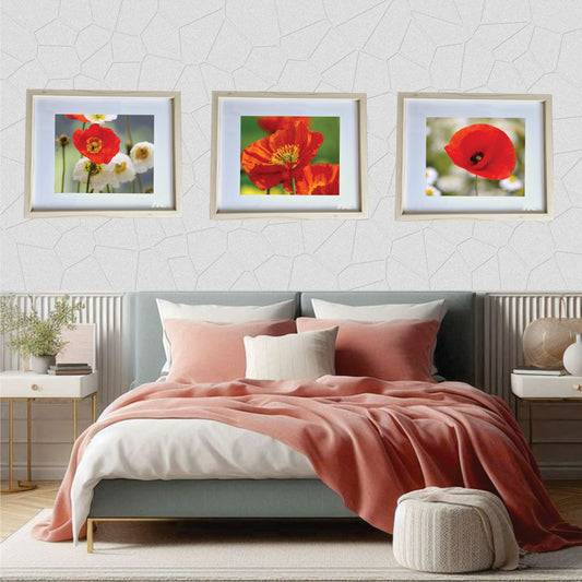 3er Set Wandbilder- Mohnblumen