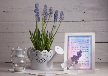 Wandbilder mit Trockenblumen