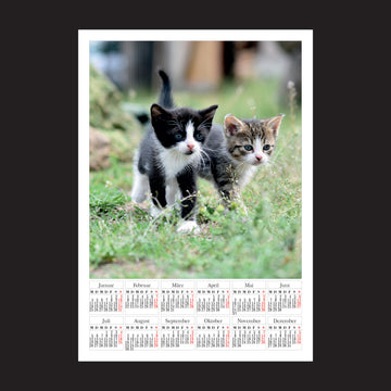 2027 Personalisierter Fotokalender mit Magnet – DIN A4