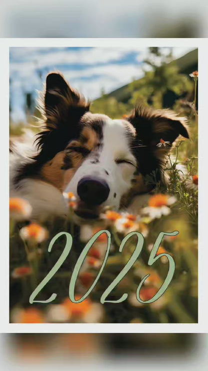Hund Wandkalender 2025