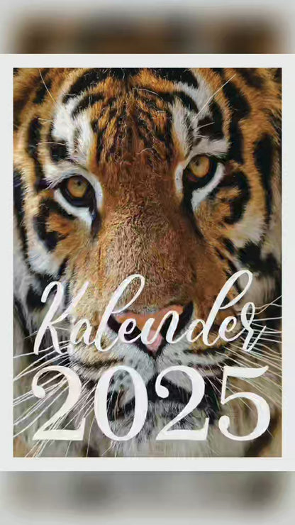 Tiger Wandkalender 2025